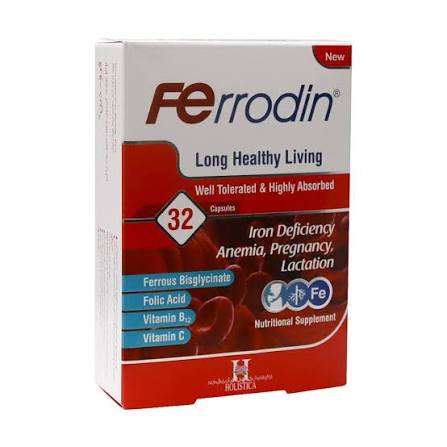 Ferrodin فرودین