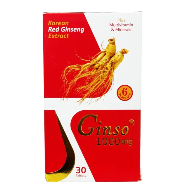 جینسو Ginso